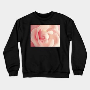 A Dream Unfolds Crewneck Sweatshirt